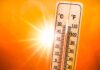 महाराष्ट्रासह देशभरात उष्णतेची लाट; विदर्भात पारा ४५ अंशांच्या पुढे
